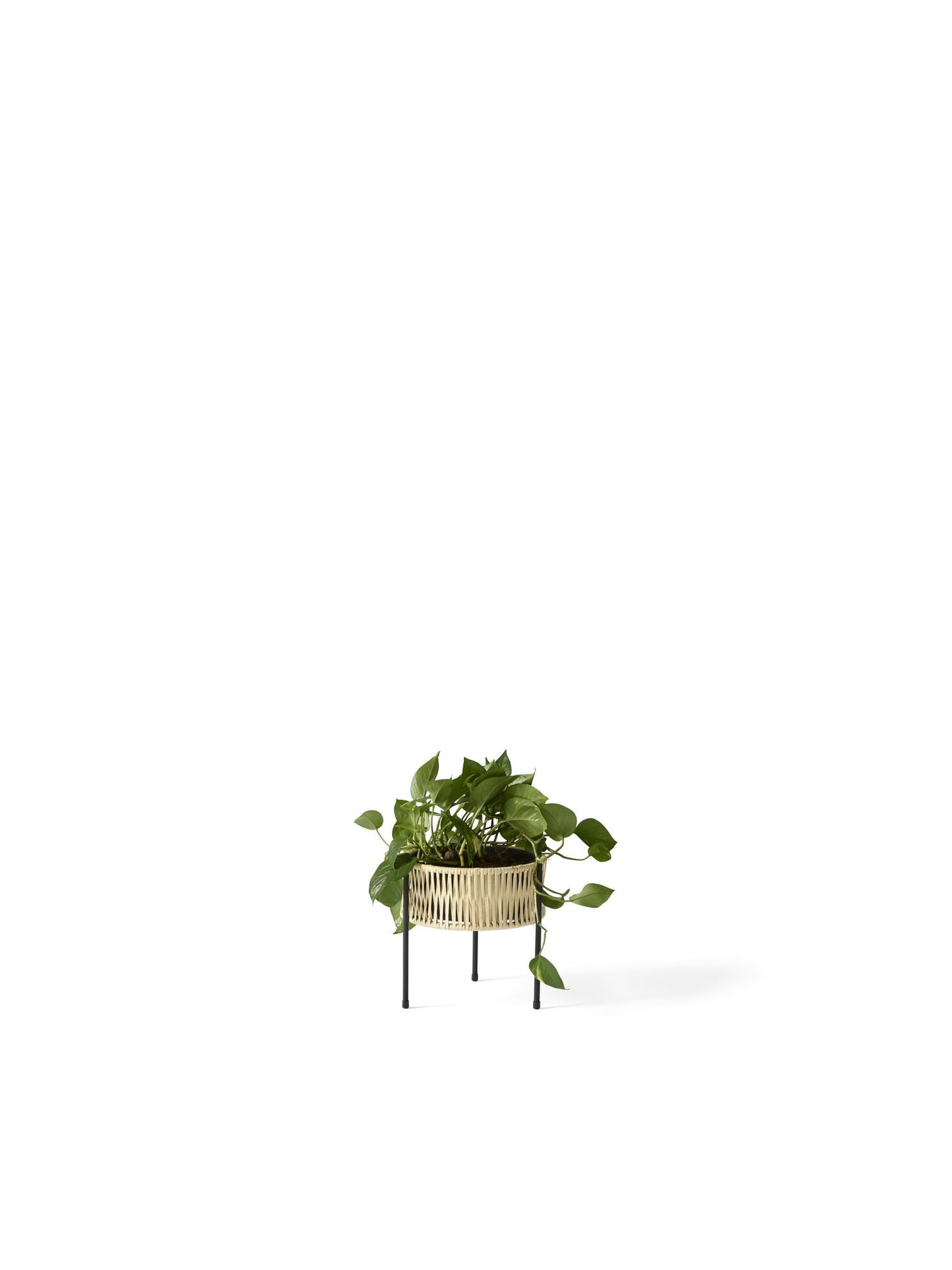 Umanoff Planter 11 in