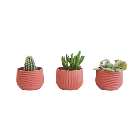 Mini Planter Set