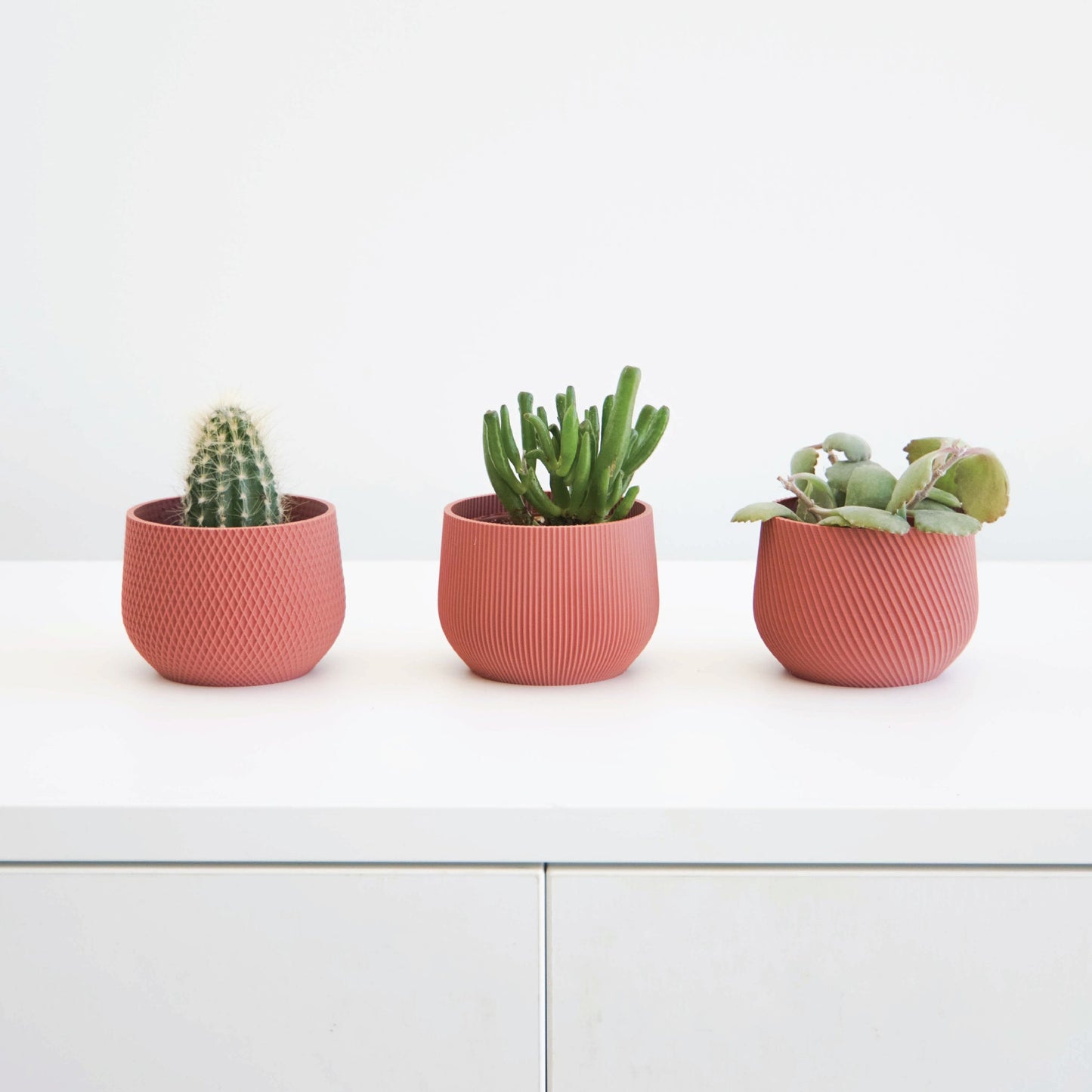 Mini Planter Set