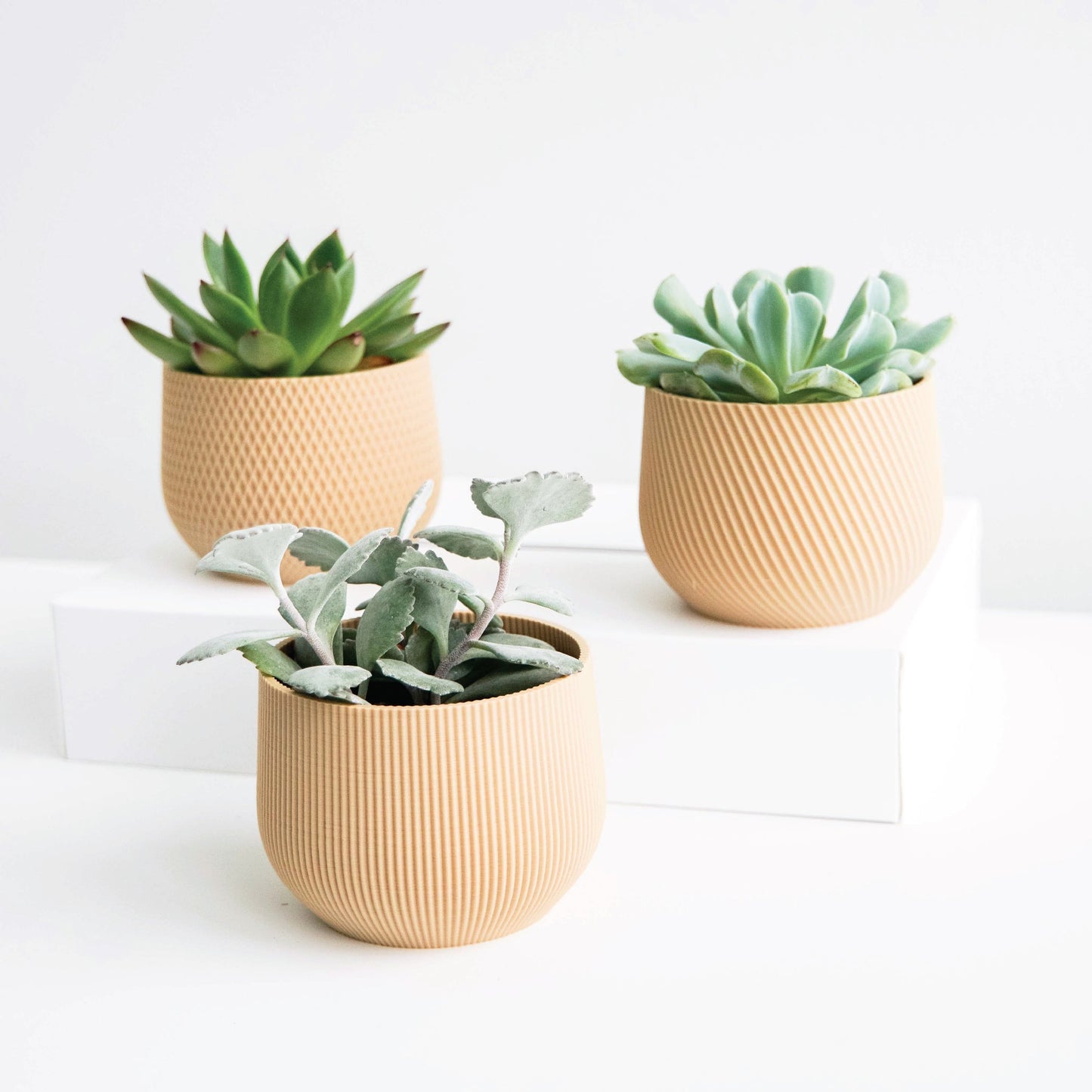 Mini Planter Set