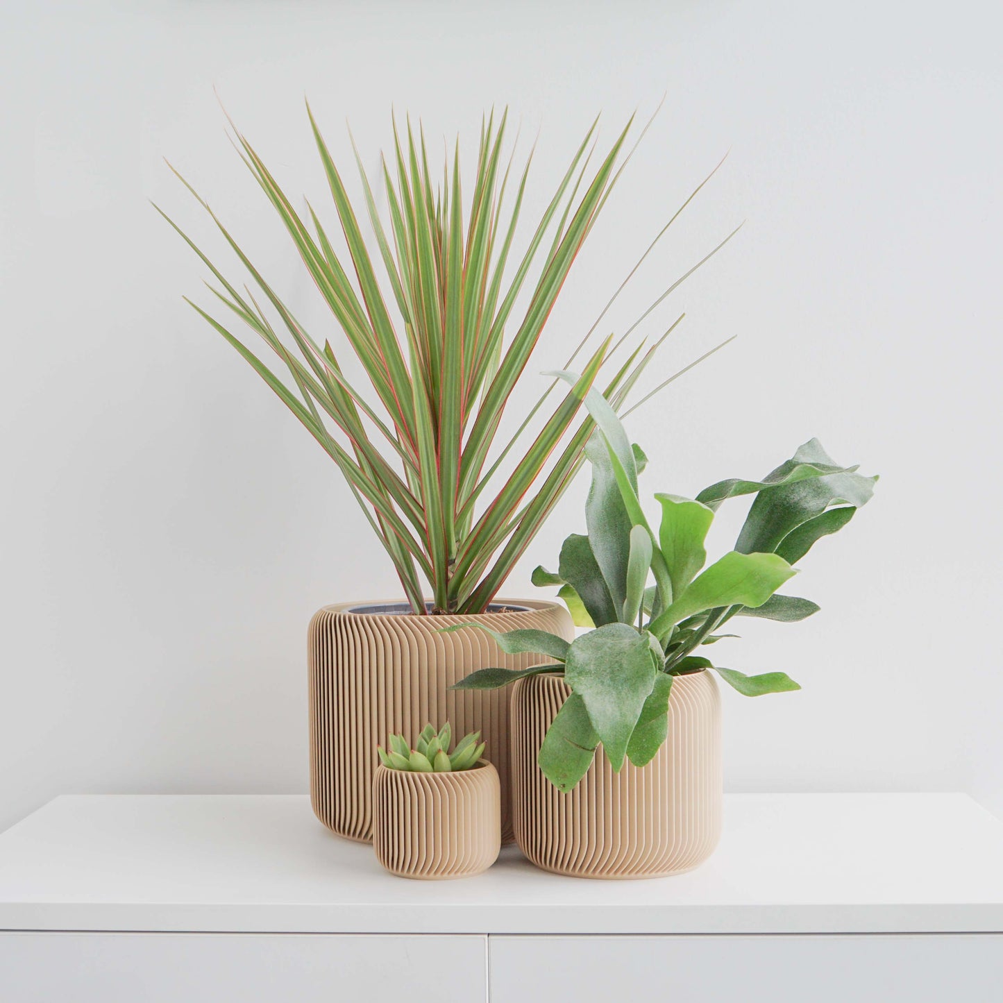 Pine Planter