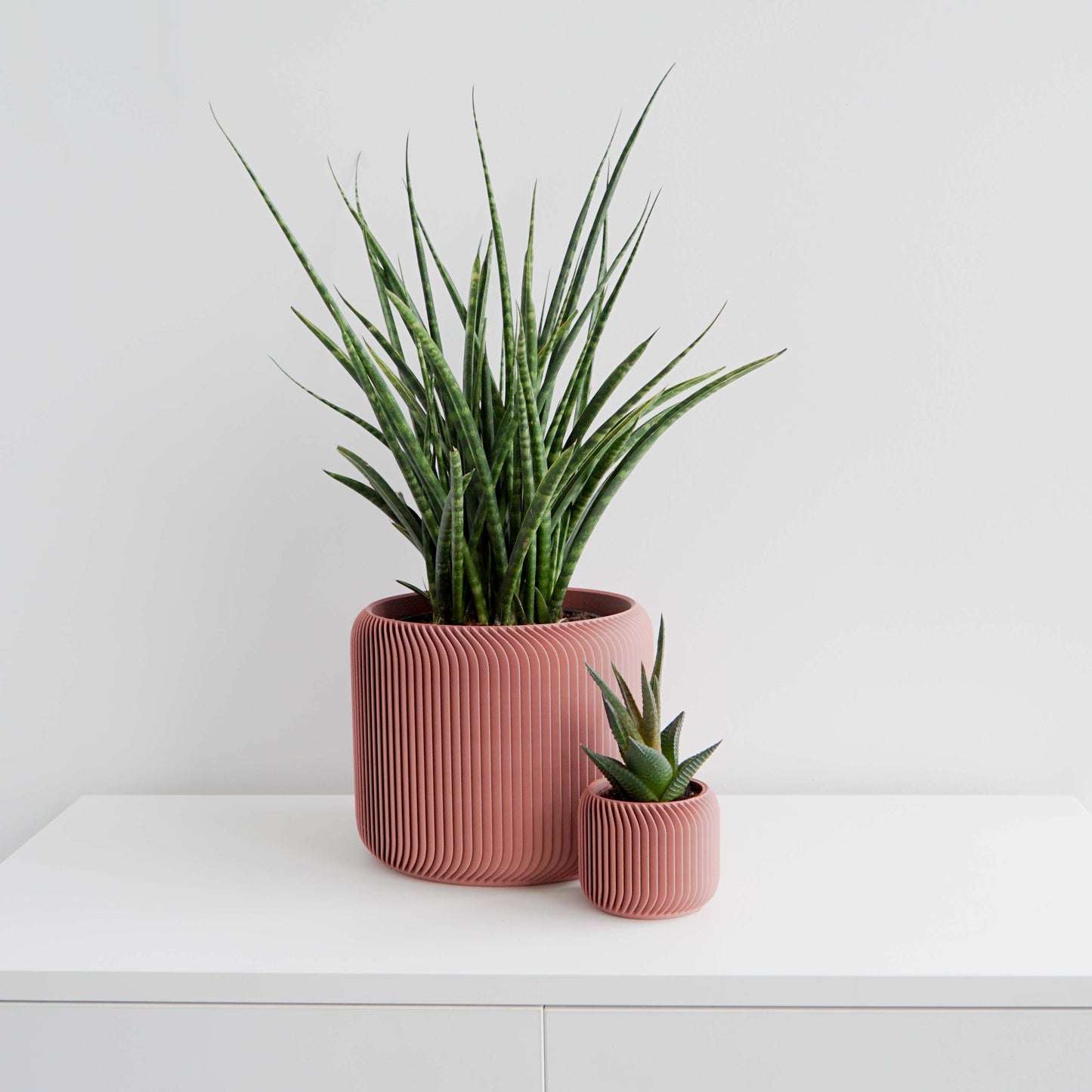 Pine Planter