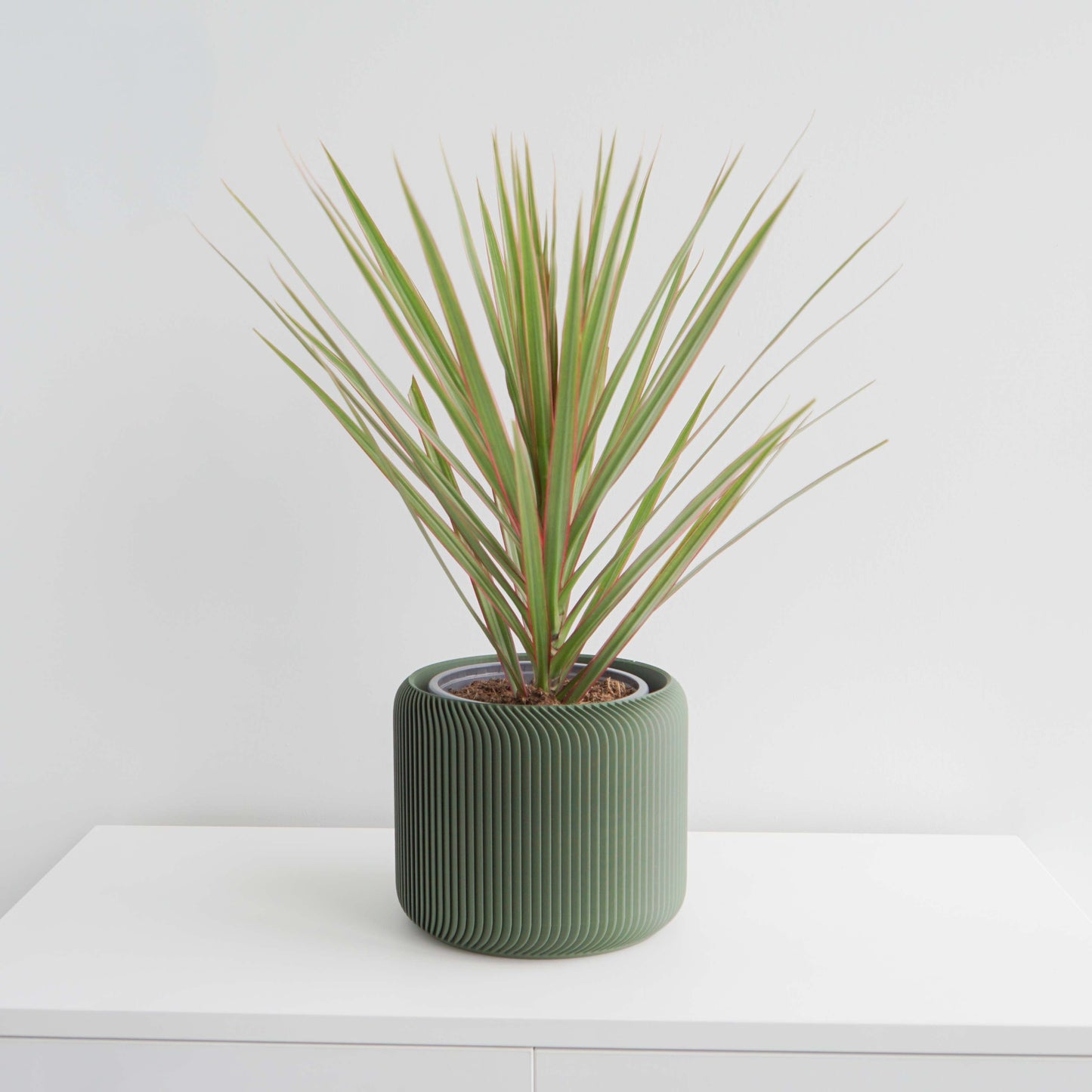 Pine Planter