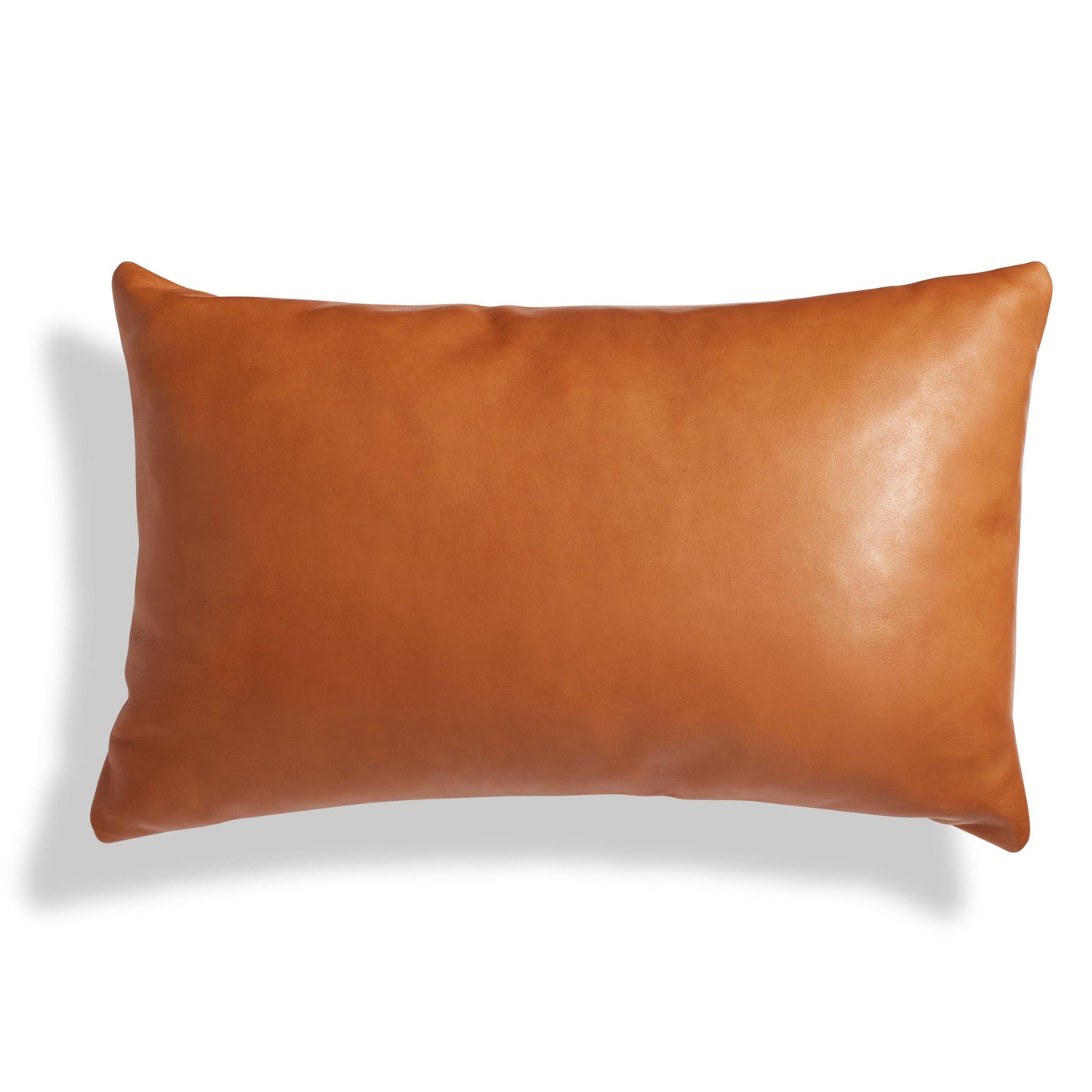 Signal Leather 20" x 13" Lumbar Pillow