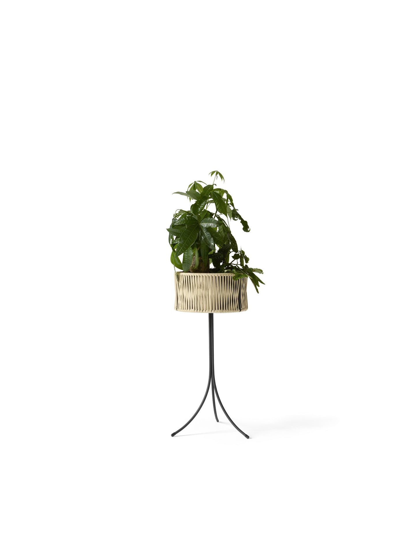 Umanoff Planter 28 in